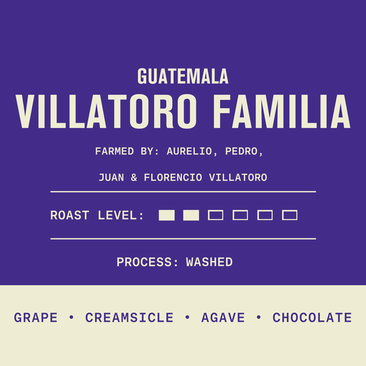Guatemala - Villatoro Familia