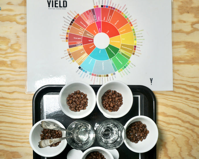 YIELD Coffee Cupping Guidelines