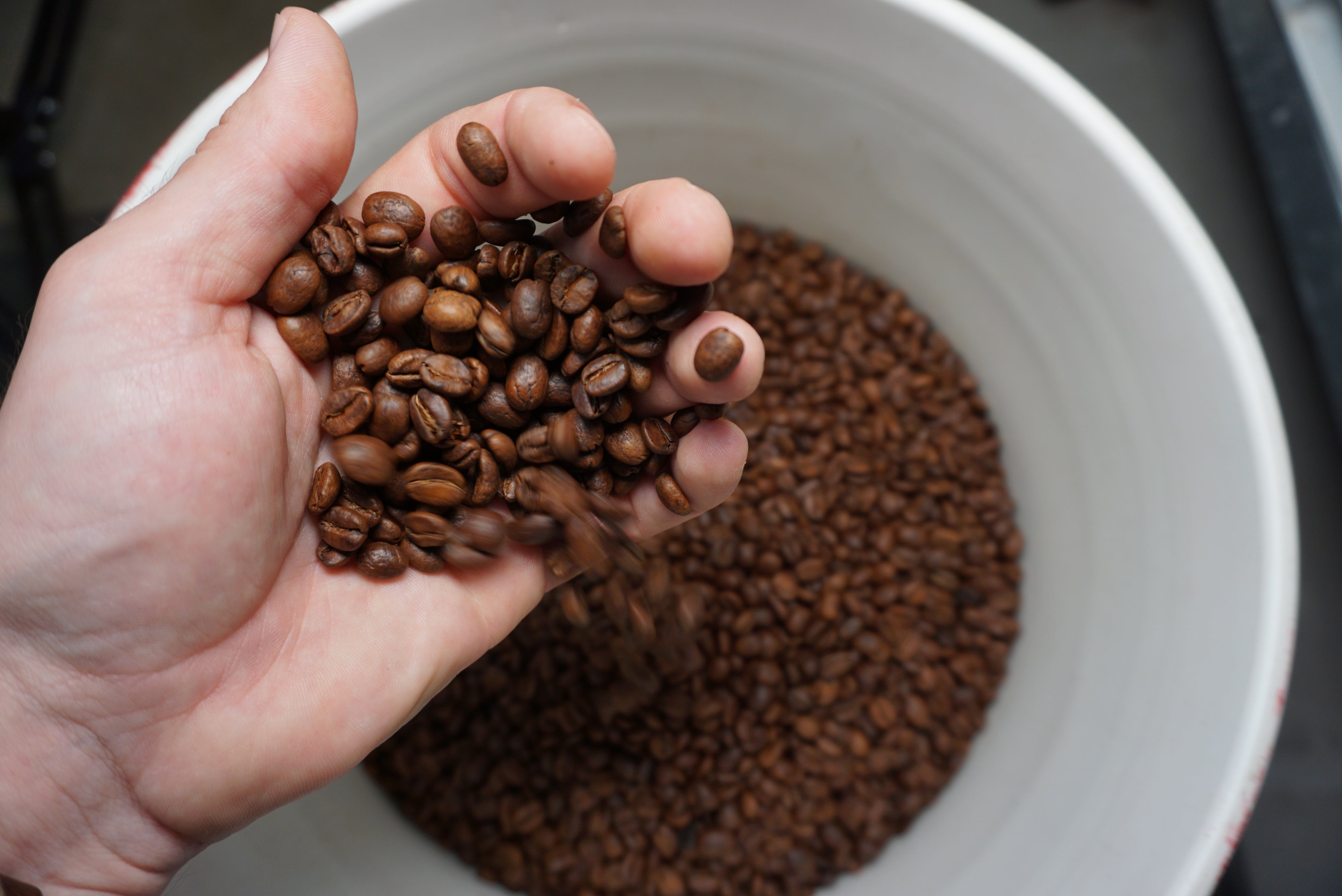 Bulk Coffee Subscription