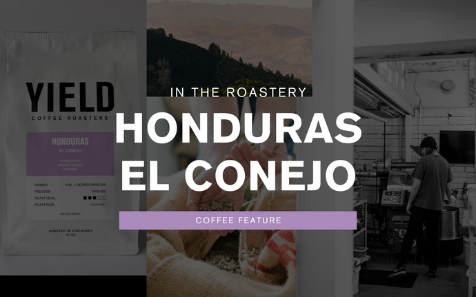 Honduras El Conejo | Single-Origin Coffee Highlight
