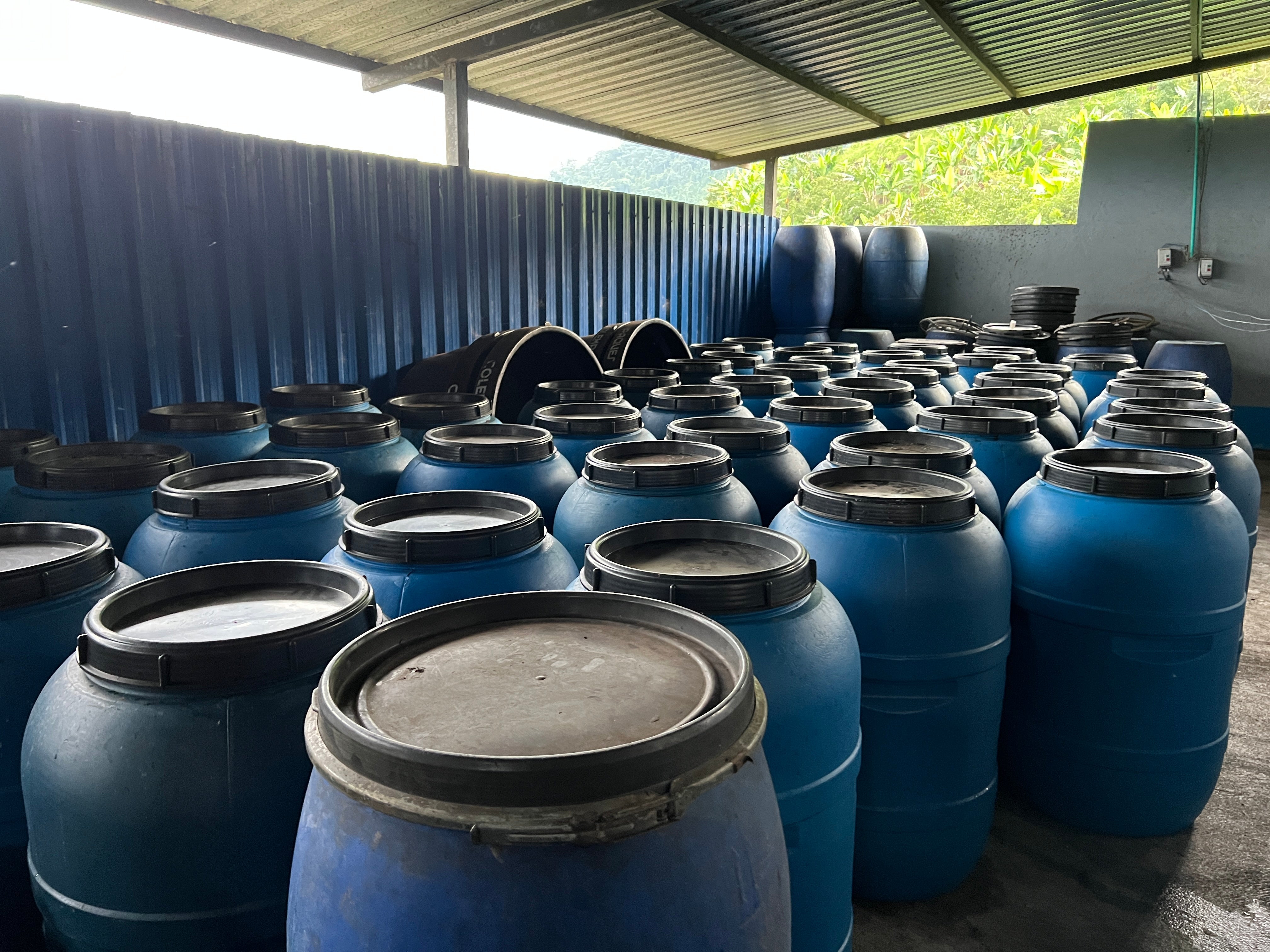 Anerobic Coffee Fermentation