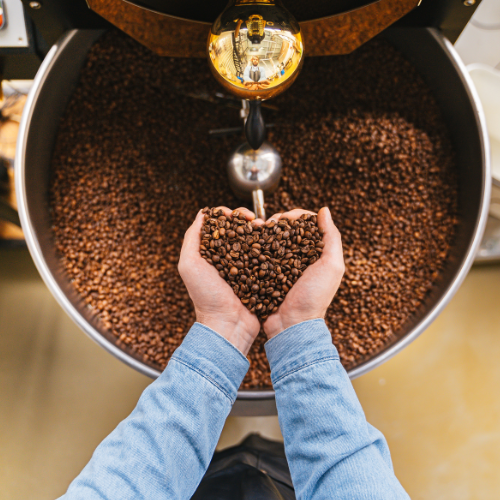 Your Complete Guide to Wholesale Coffee Bean Suppliers