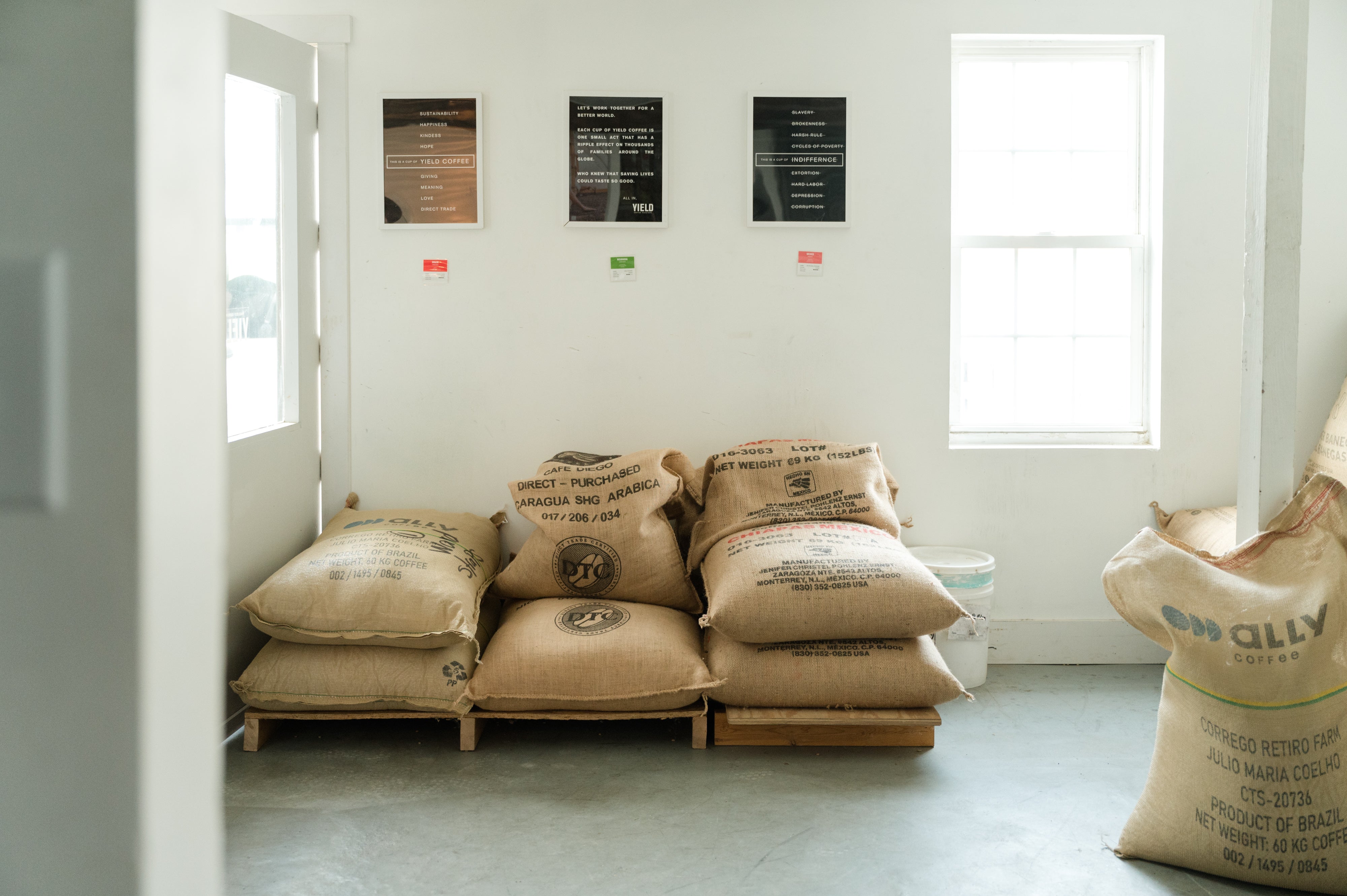 Mold in Coffee: Risks, Quality Controls & Storage