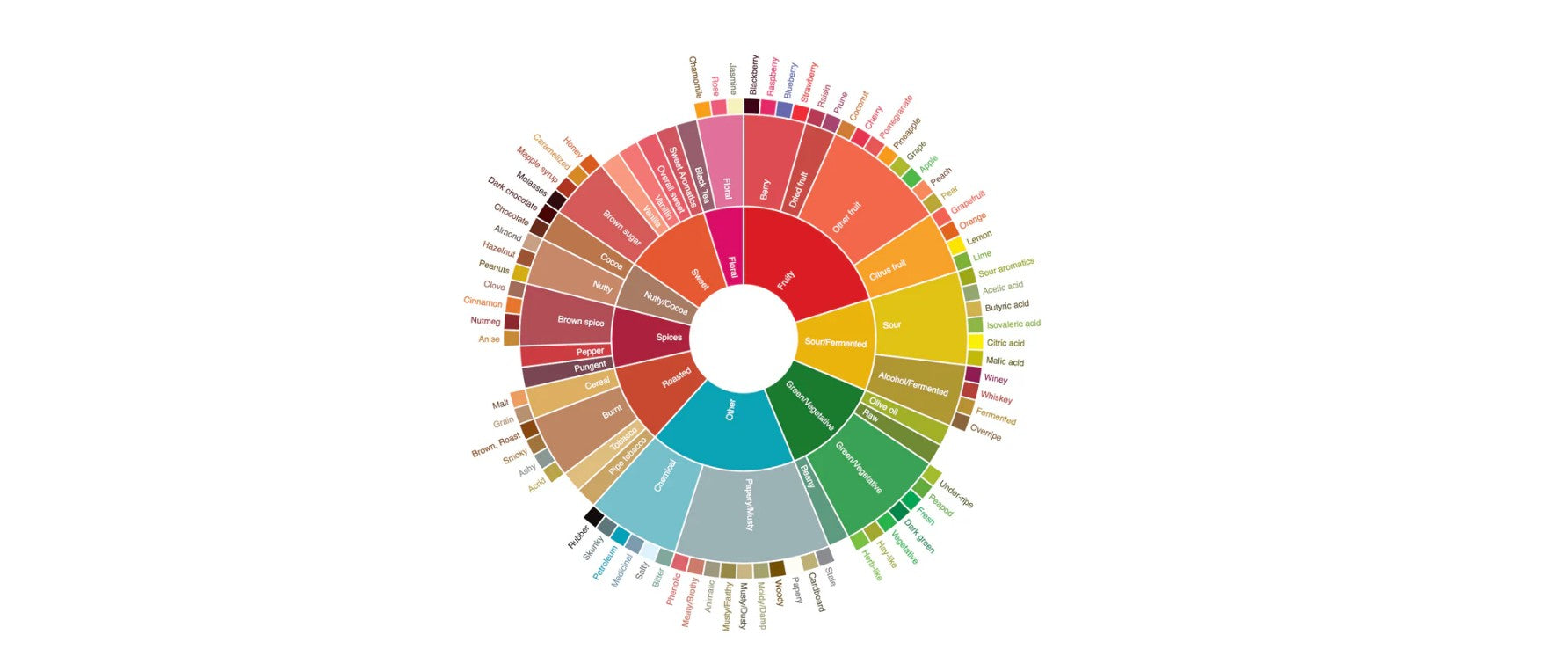 Coffee Flavor Profiles: A Practical Tasting Guide