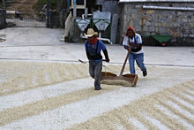 Mexico - Chiapas