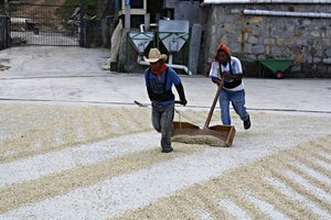 Mexico - Chiapas