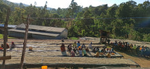 Ethiopia - Shakiso (Previously Two Brothers)
