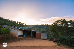 Honduras - Finca El Conejo - Yield Coffee Roasters