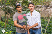 Honduras - Finca El Conejo - Yield Coffee Roasters